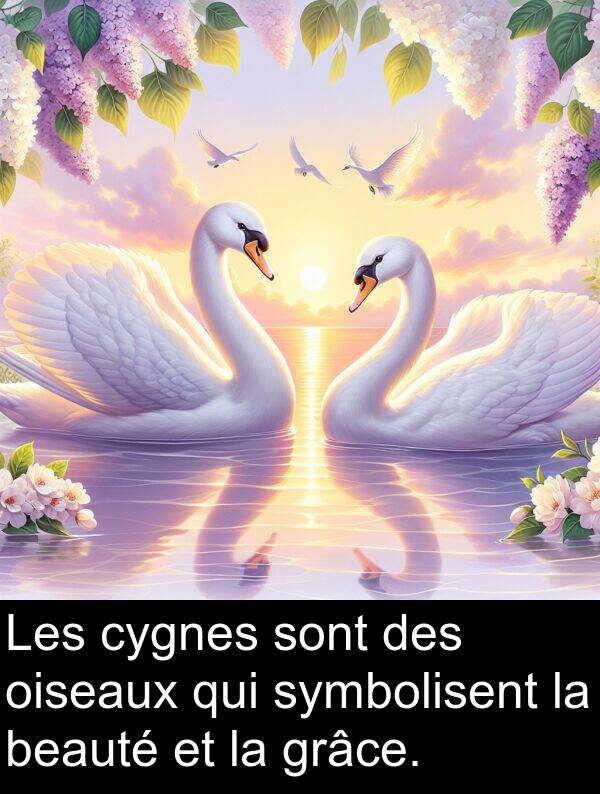 oiseaux: Les cygnes sont des oiseaux qui symbolisent la beauté et la grâce.