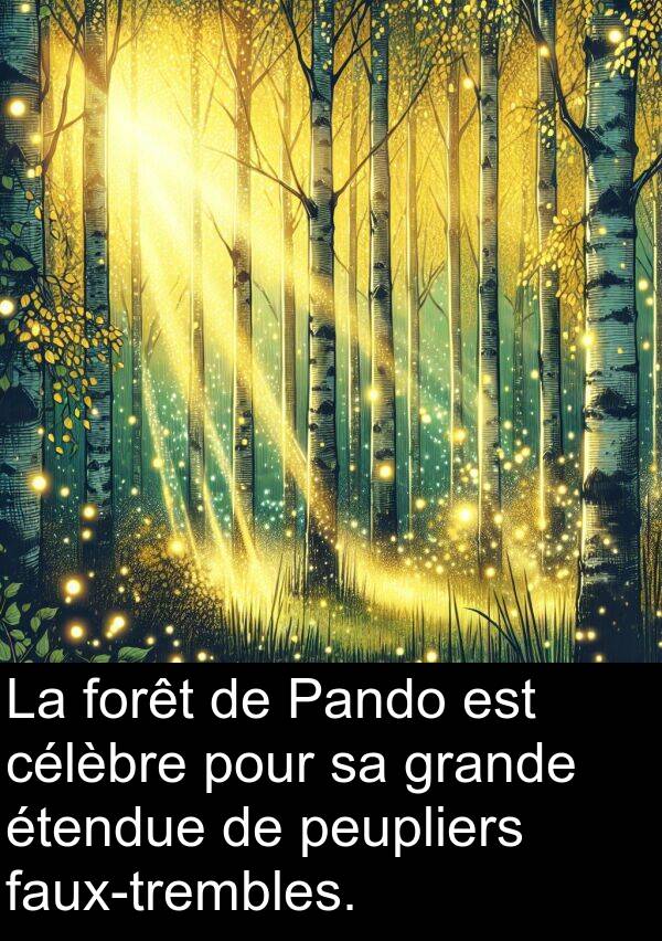 grande: La forêt de Pando est célèbre pour sa grande étendue de peupliers faux-trembles.