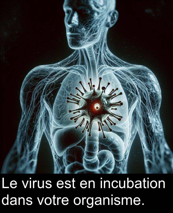 organisme: Le virus est en incubation dans votre organisme.