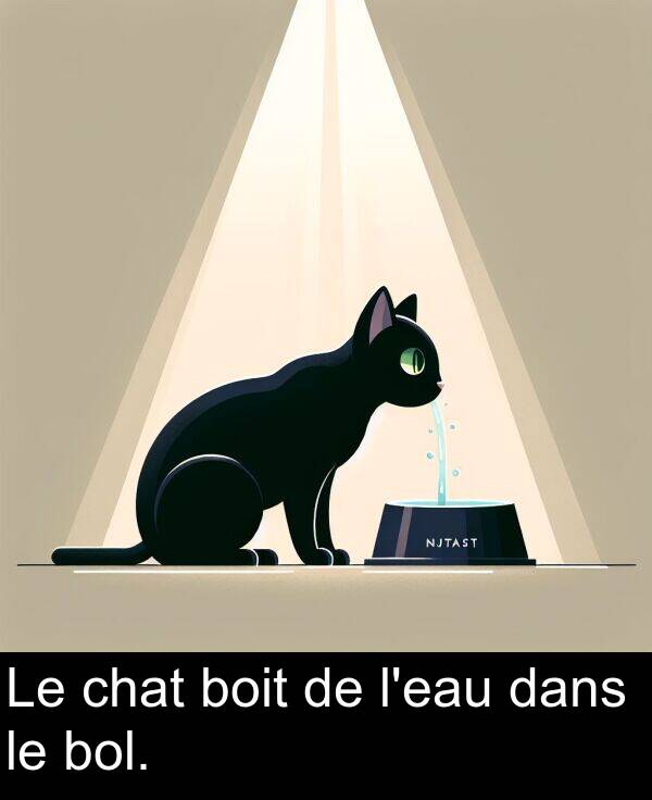 bol: Le chat boit de l'eau dans le bol.