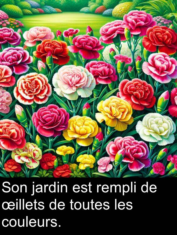 toutes: Son jardin est rempli de œillets de toutes les couleurs.