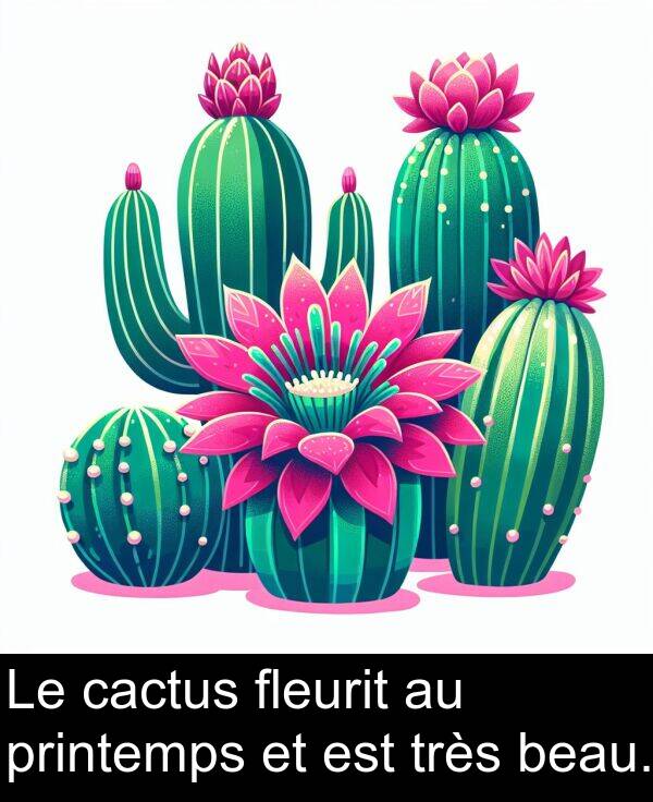 beau: Le cactus fleurit au printemps et est très beau.