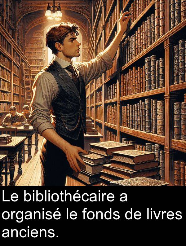 livres: Le bibliothécaire a organisé le fonds de livres anciens.