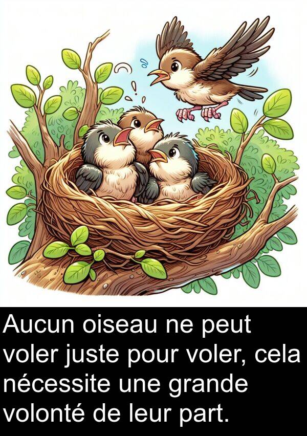 volonté: Aucun oiseau ne peut voler juste pour voler, cela nécessite une grande volonté de leur part.