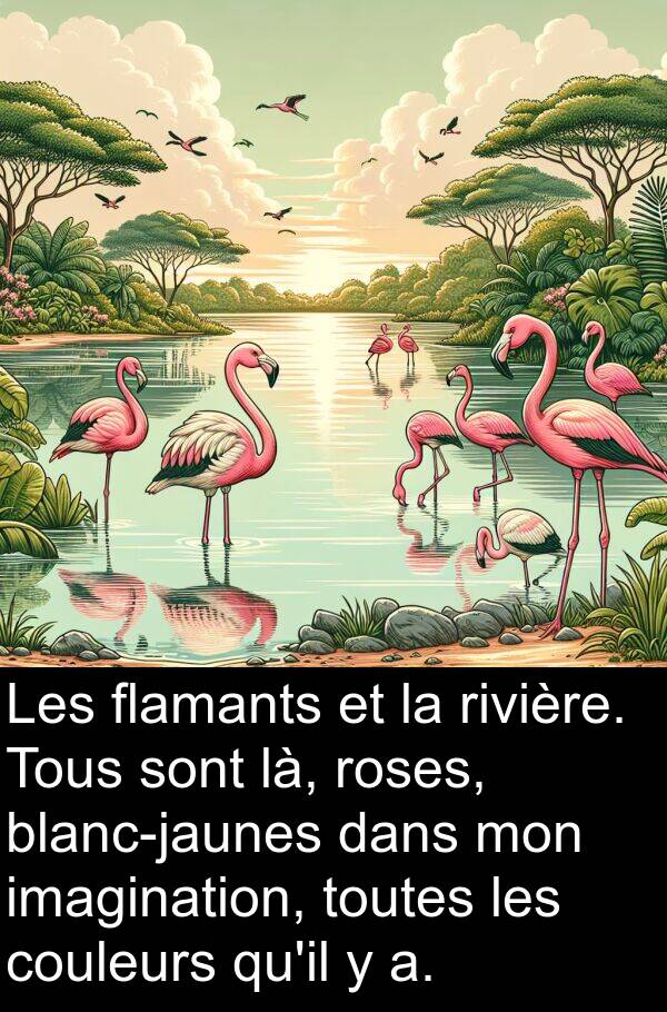 là: Les flamants et la rivière. Tous sont là, roses, blanc-jaunes dans mon imagination, toutes les couleurs qu'il y a.