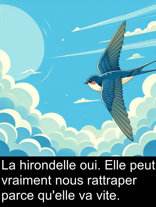 vite: La hirondelle oui. Elle peut vraiment nous rattraper parce qu'elle va vite.