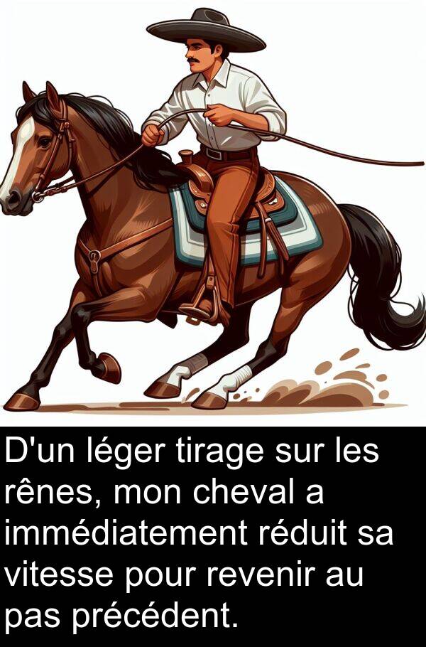 vitesse: D'un léger tirage sur les rênes, mon cheval a immédiatement réduit sa vitesse pour revenir au pas précédent.