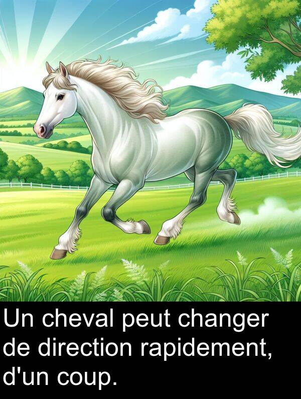 rapidement: Un cheval peut changer de direction rapidement, d'un coup.