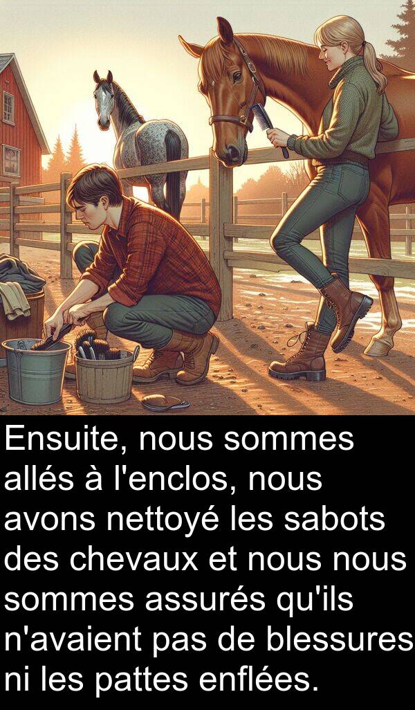 allés: Ensuite, nous sommes allés à l'enclos, nous avons nettoyé les sabots des chevaux et nous nous sommes assurés qu'ils n'avaient pas de blessures ni les pattes enflées.