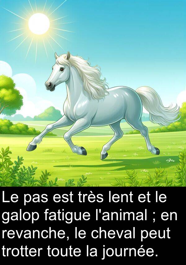 fatigue: Le pas est très lent et le galop fatigue l'animal ; en revanche, le cheval peut trotter toute la journée.