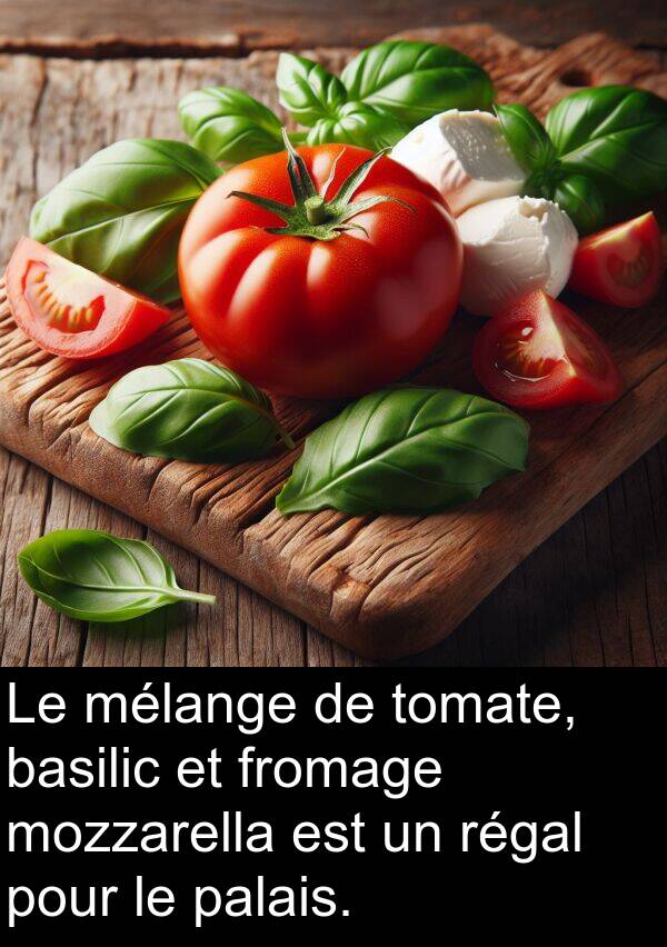 palais: Le mélange de tomate, basilic et fromage mozzarella est un régal pour le palais.