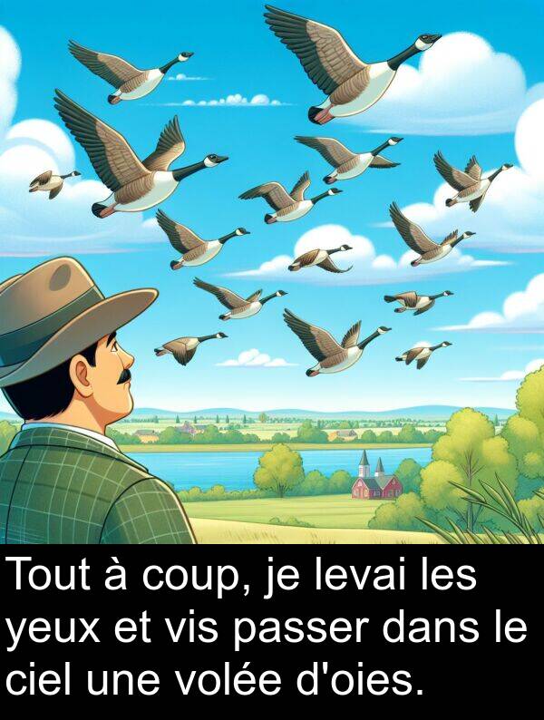 yeux: Tout à coup, je levai les yeux et vis passer dans le ciel une volée d'oies.