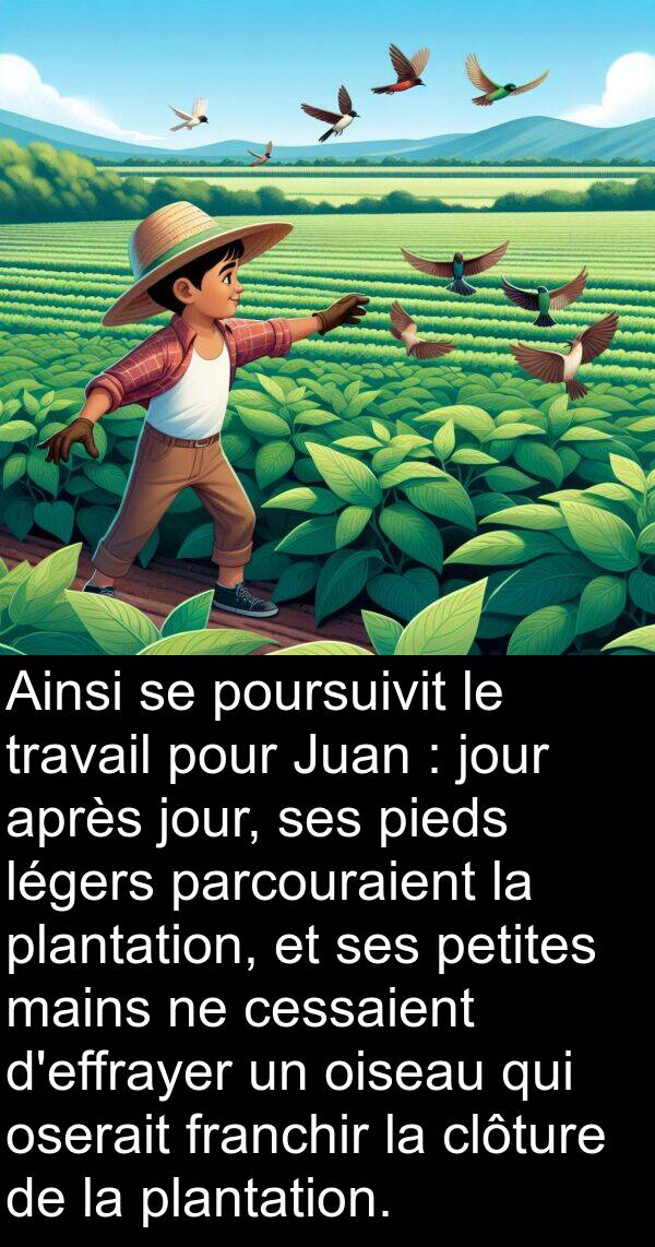 parcouraient: Ainsi se poursuivit le travail pour Juan : jour après jour, ses pieds légers parcouraient la plantation, et ses petites mains ne cessaient d'effrayer un oiseau qui oserait franchir la clôture de la plantation.