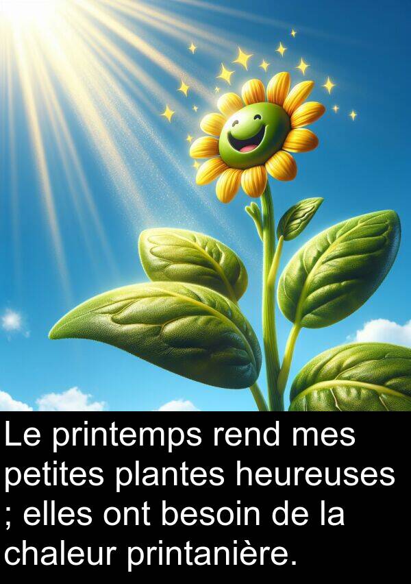 petites: Le printemps rend mes petites plantes heureuses ; elles ont besoin de la chaleur printanière.