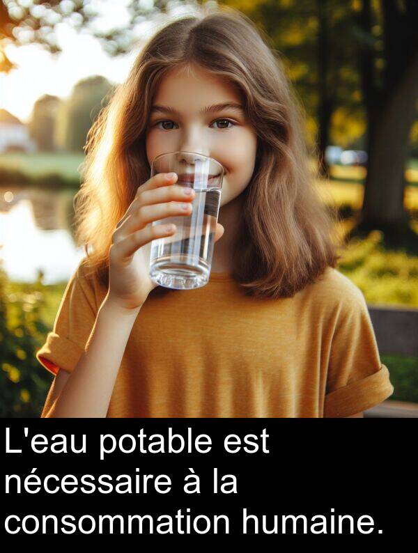 humaine: L'eau potable est nécessaire à la consommation humaine.