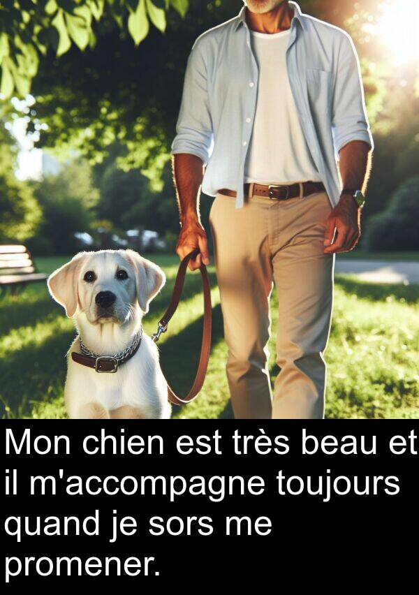 quand: Mon chien est très beau et il m'accompagne toujours quand je sors me promener.