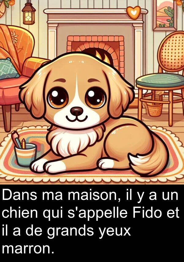 grands: Dans ma maison, il y a un chien qui s'appelle Fido et il a de grands yeux marron.