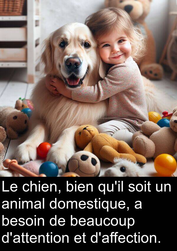 bien: Le chien, bien qu'il soit un animal domestique, a besoin de beaucoup d'attention et d'affection.