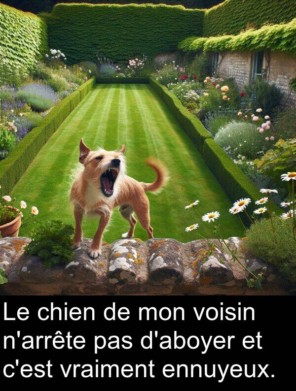 voisin: Le chien de mon voisin n'arrête pas d'aboyer et c'est vraiment ennuyeux.