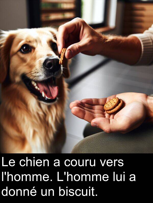 vers: Le chien a couru vers l'homme. L'homme lui a donné un biscuit.