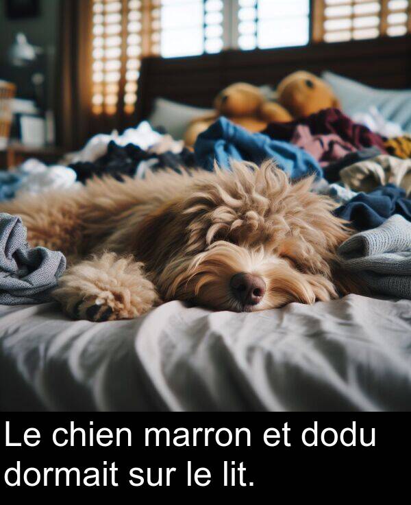 lit: Le chien marron et dodu dormait sur le lit.