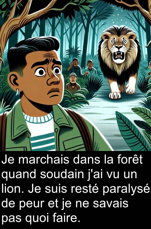 lion: Je marchais dans la forêt quand soudain j'ai vu un lion. Je suis resté paralysé de peur et je ne savais pas quoi faire.