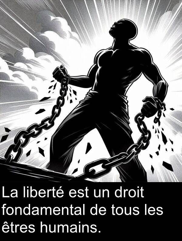 liberté: La liberté est un droit fondamental de tous les êtres humains.