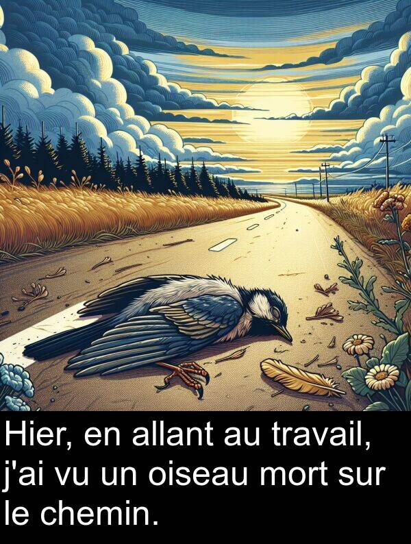 oiseau: Hier, en allant au travail, j'ai vu un oiseau mort sur le chemin.