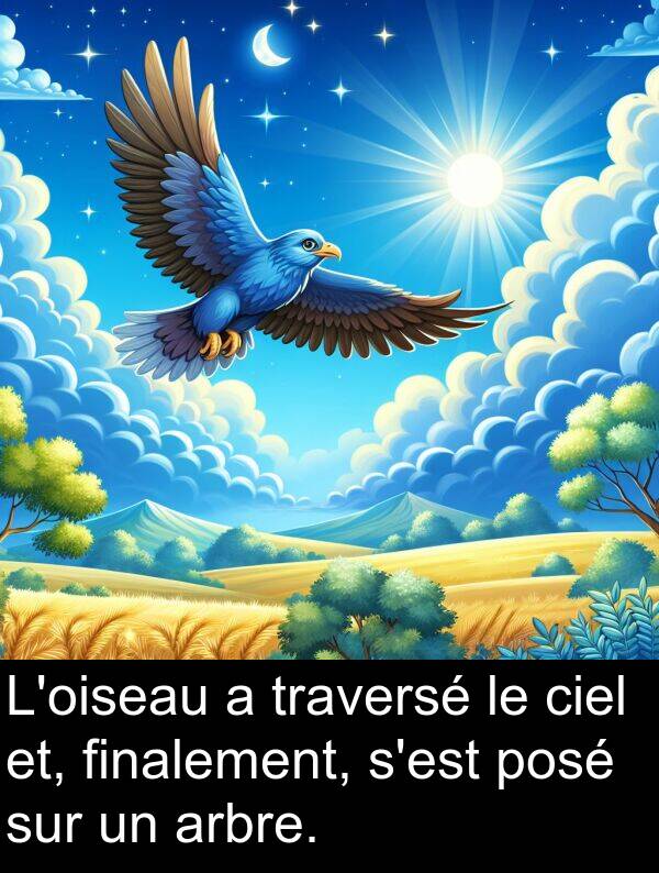 arbre: L'oiseau a traversé le ciel et, finalement, s'est posé sur un arbre.