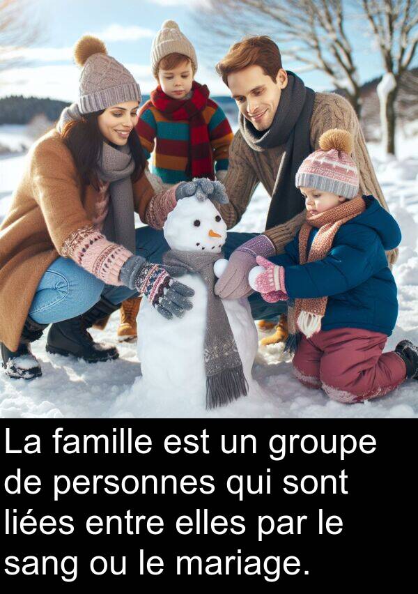 famille: La famille est un groupe de personnes qui sont liées entre elles par le sang ou le mariage.