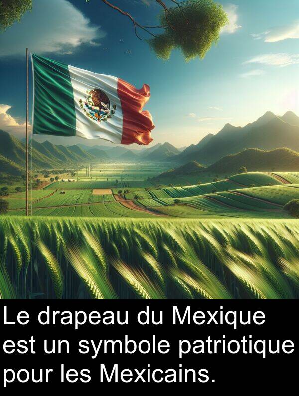 patriotique: Le drapeau du Mexique est un symbole patriotique pour les Mexicains.