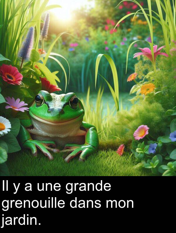 une: Il y a une grande grenouille dans mon jardin.