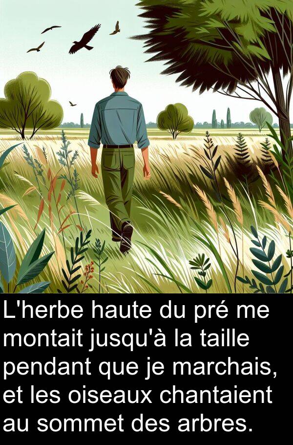 arbres: L'herbe haute du pré me montait jusqu'à la taille pendant que je marchais, et les oiseaux chantaient au sommet des arbres.