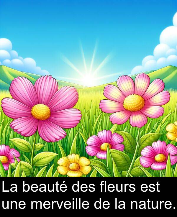 beauté: La beauté des fleurs est une merveille de la nature.