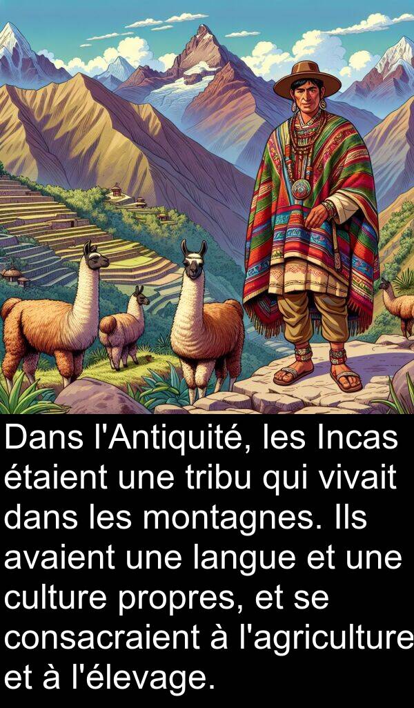 avaient: Dans l'Antiquité, les Incas étaient une tribu qui vivait dans les montagnes. Ils avaient une langue et une culture propres, et se consacraient à l'agriculture et à l'élevage.