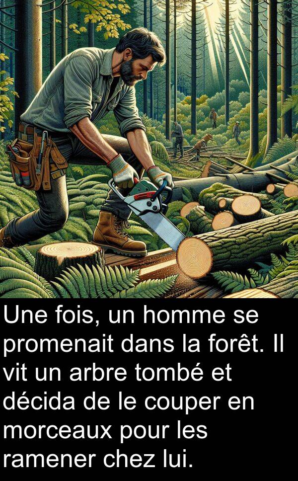 vit: Une fois, un homme se promenait dans la forêt. Il vit un arbre tombé et décida de le couper en morceaux pour les ramener chez lui.