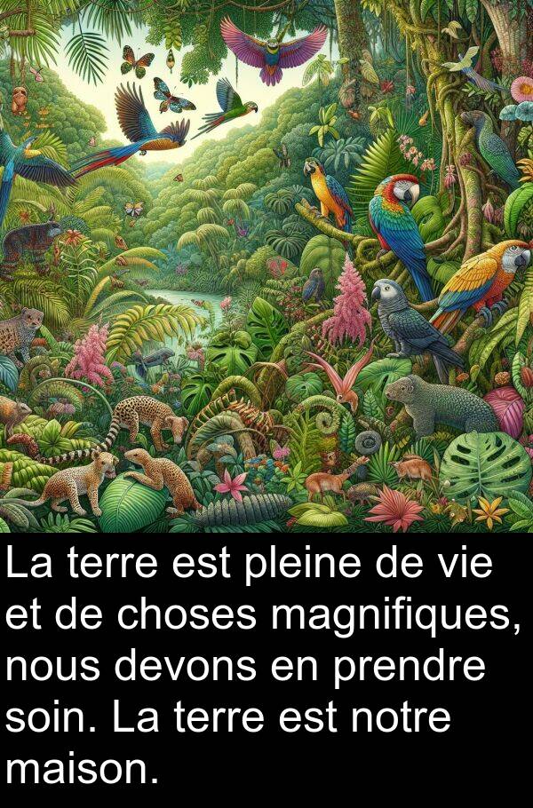 magnifiques: La terre est pleine de vie et de choses magnifiques, nous devons en prendre soin. La terre est notre maison.