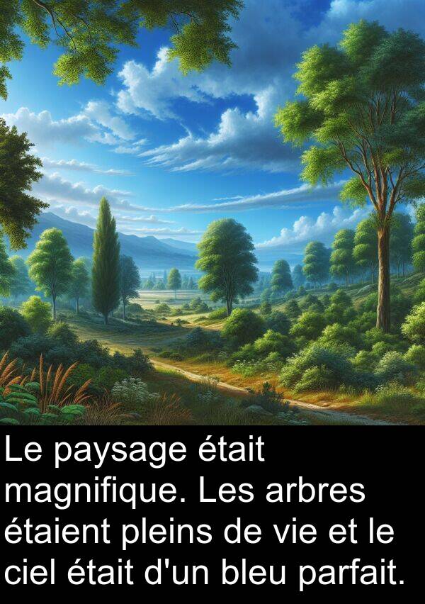 arbres: Le paysage était magnifique. Les arbres étaient pleins de vie et le ciel était d'un bleu parfait.