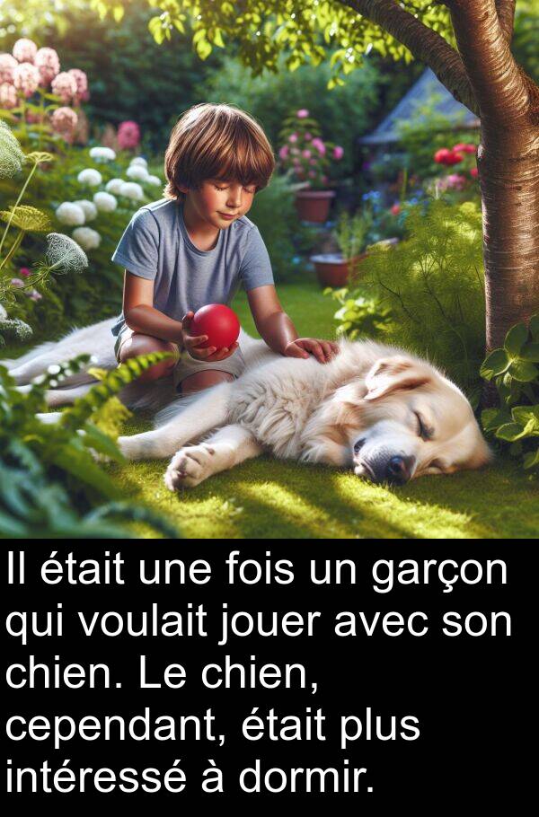 voulait: Il était une fois un garçon qui voulait jouer avec son chien. Le chien, cependant, était plus intéressé à dormir.