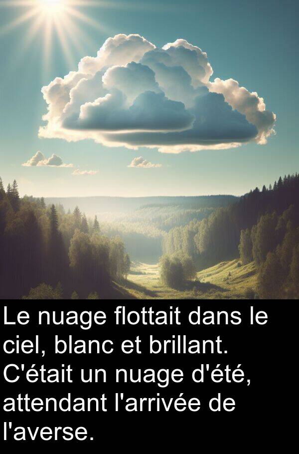 attendant: Le nuage flottait dans le ciel, blanc et brillant. C'était un nuage d'été, attendant l'arrivée de l'averse.