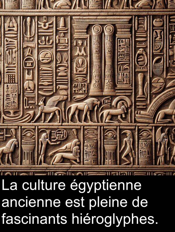 fascinants: La culture égyptienne ancienne est pleine de fascinants hiéroglyphes.