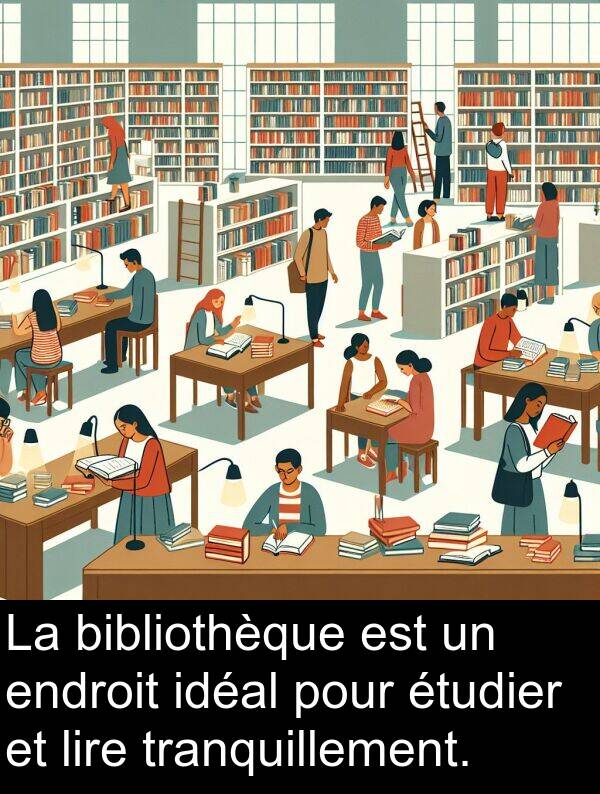 bibliothèque: La bibliothèque est un endroit idéal pour étudier et lire tranquillement.