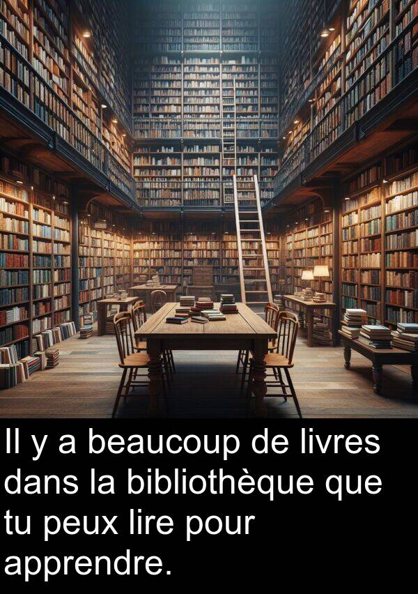 livres: Il y a beaucoup de livres dans la bibliothèque que tu peux lire pour apprendre.