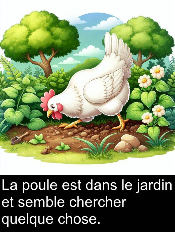 quelque: La poule est dans le jardin et semble chercher quelque chose.