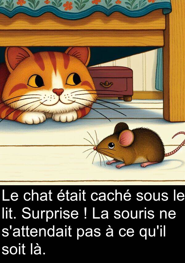 là: Le chat était caché sous le lit. Surprise ! La souris ne s'attendait pas à ce qu'il soit là.