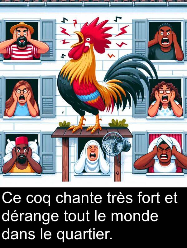 quartier: Ce coq chante très fort et dérange tout le monde dans le quartier.