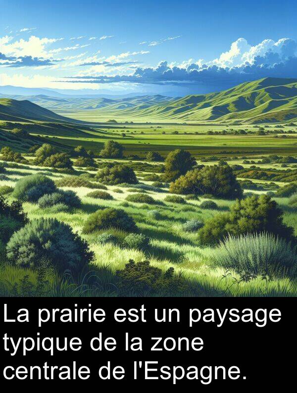 prairie: La prairie est un paysage typique de la zone centrale de l'Espagne.