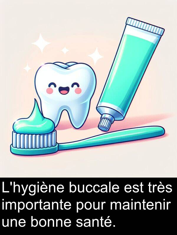 importante: L'hygiène buccale est très importante pour maintenir une bonne santé.