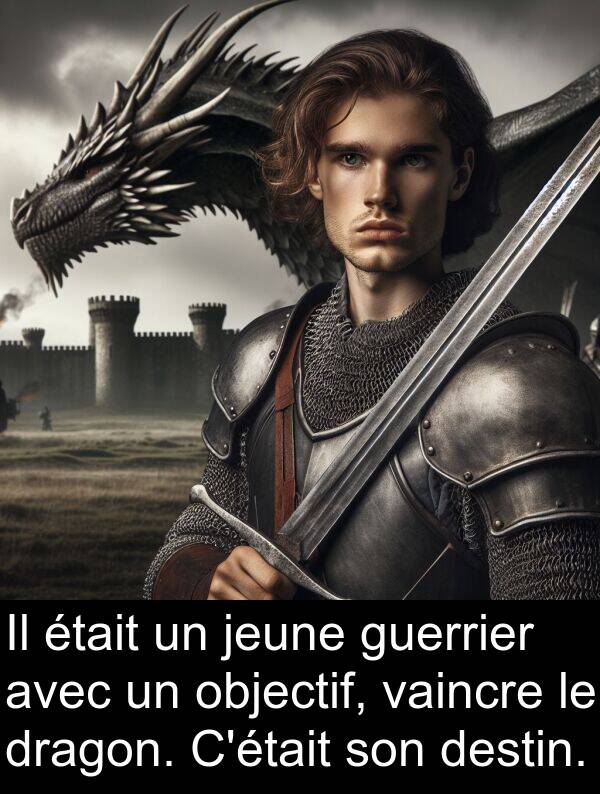 vaincre: Il était un jeune guerrier avec un objectif, vaincre le dragon. C'était son destin.