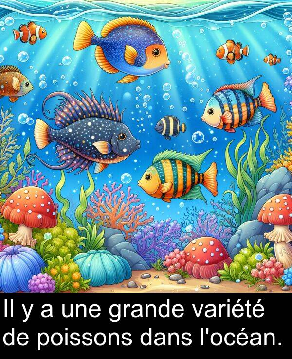 grande: Il y a une grande variété de poissons dans l'océan.